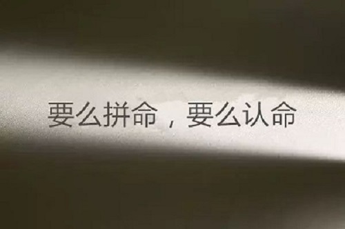 灵宝高三辅导班排名_郑州高考集训学校排行榜|dg棋牌.cc(官方正式版)ios/安卓通用版/手机App